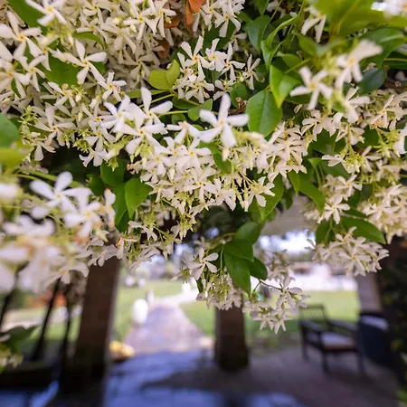 公寓式酒店 Tenuta Santicuti 4*