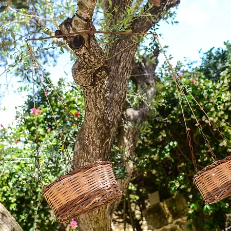 Tenuta Santicuti Acaya