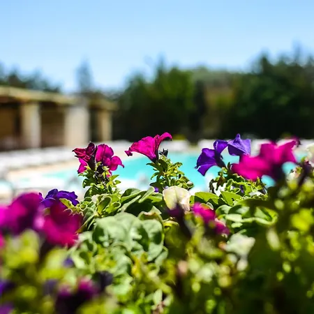 Tenuta Santicuti * Acaya